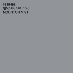 #919498 - Mountain Mist Color Image